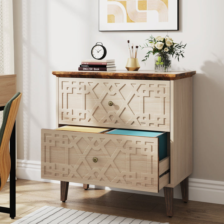 Wood File Cabinet, 2-Drawer Filing Cabinet Storage Cabinet Tribesigns