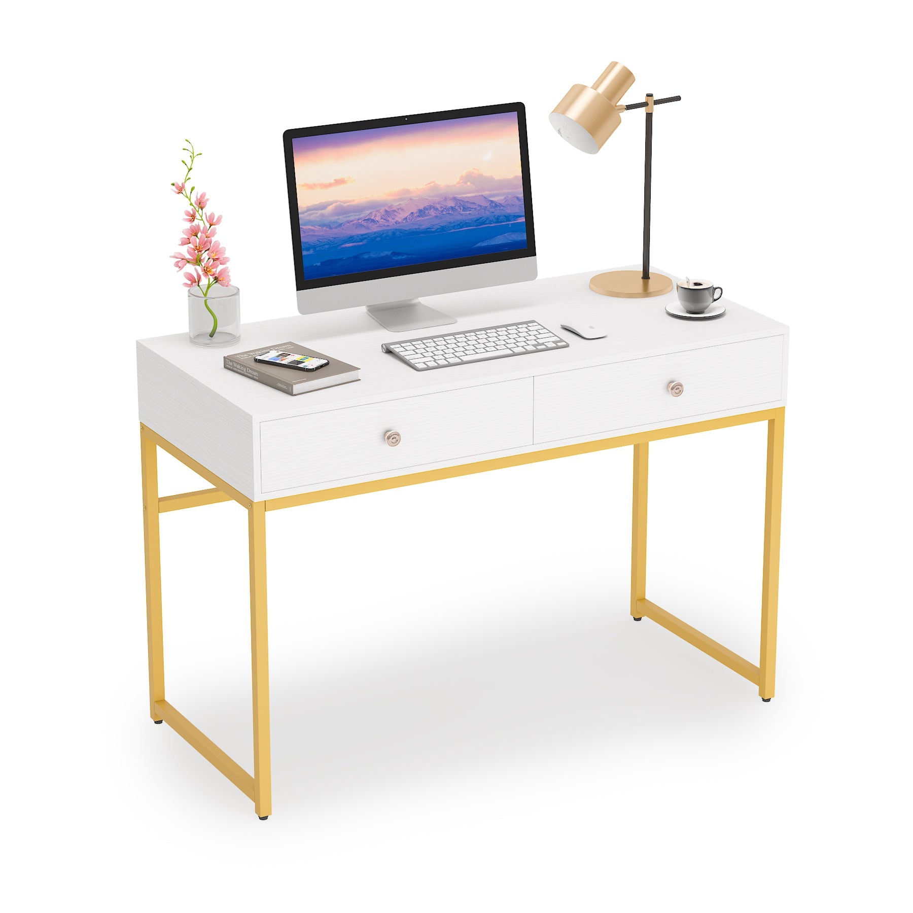 Computer Desk with 2 Drawers